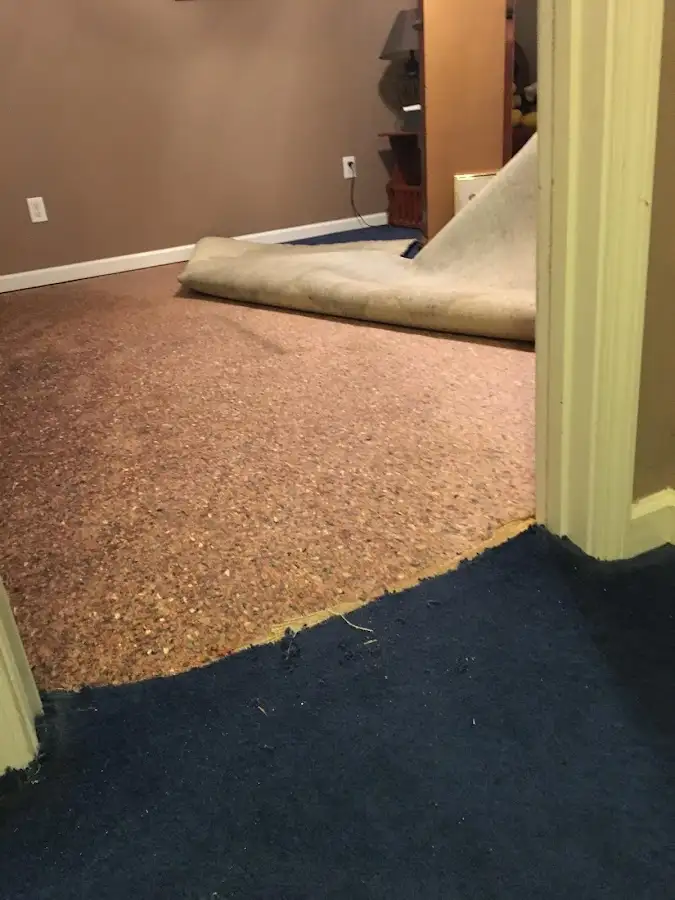 Carpet pad removal revealing water damage during Drying & Dehumidification in Ripley