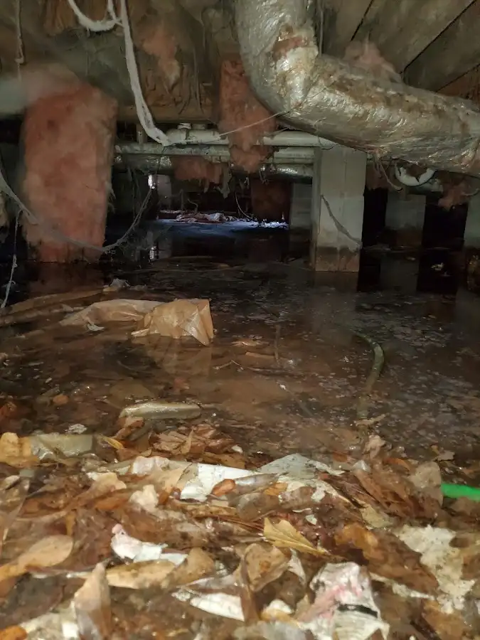 Crawl space flood assessment for Commercial Water Damage Restoration in Ripley